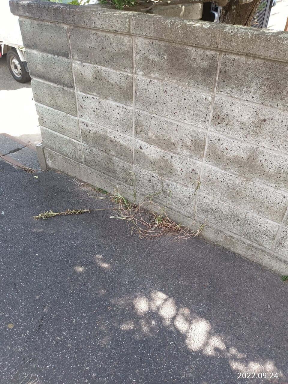 作業後
