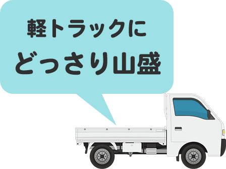 積み放題Lパック