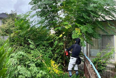 庭木伐採・草刈り例写真