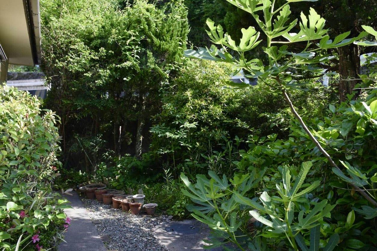 植木や剪定枝・葉を処分する4つの方法と処分費用の相場