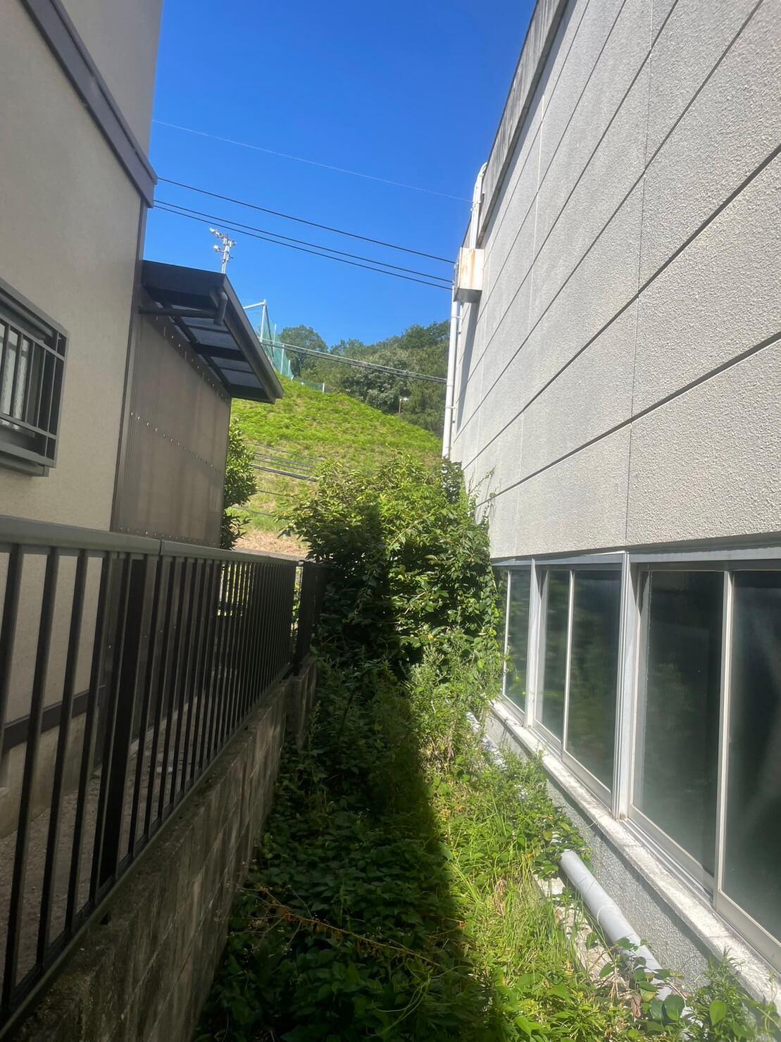 物流倉庫の雑木伐採・草刈り