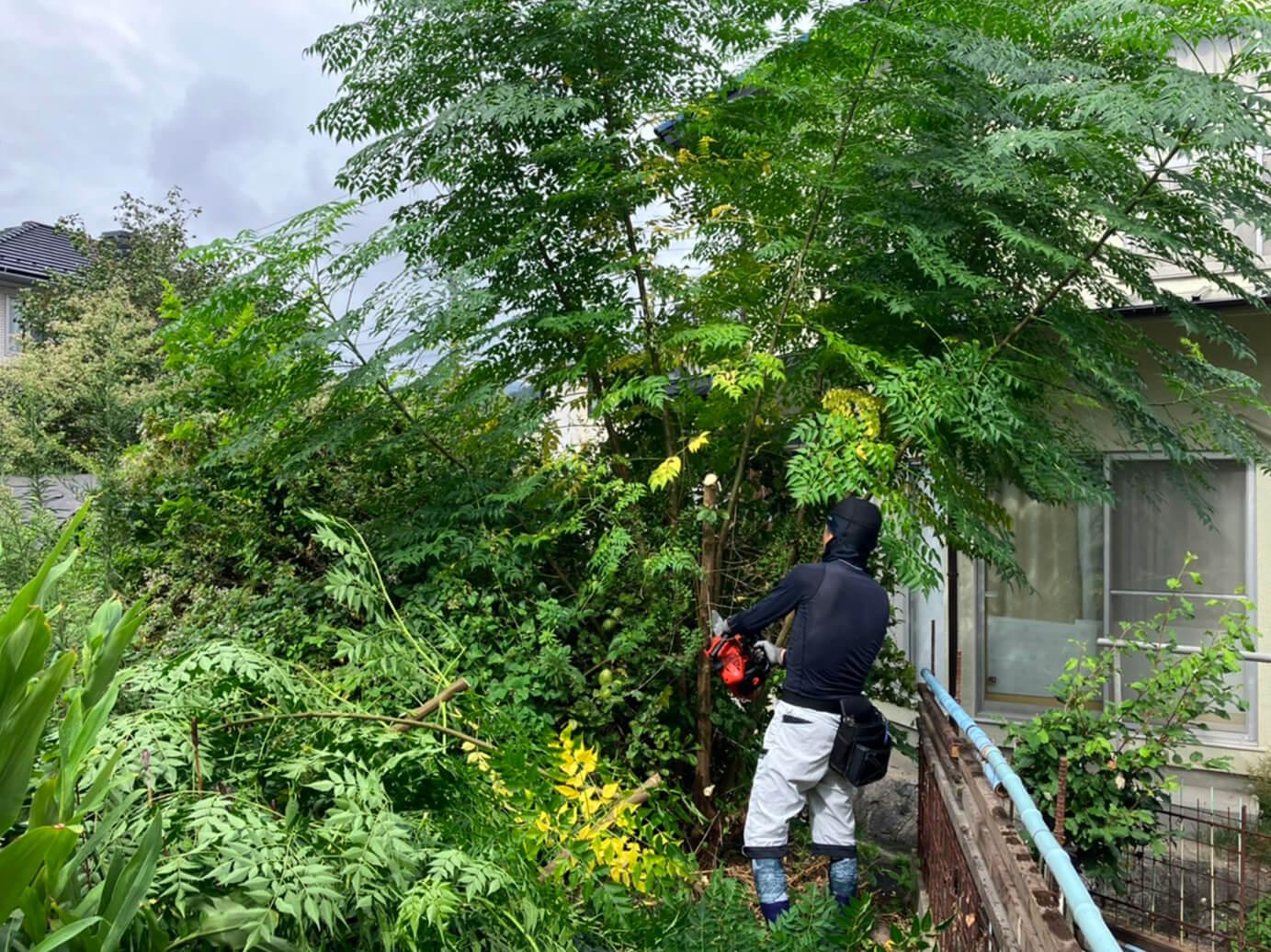 庭木の伐採・草刈り作業