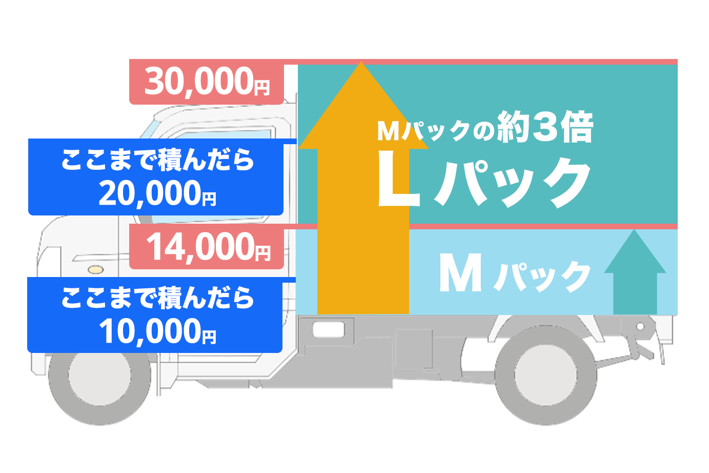 LパックとMパックの比較図