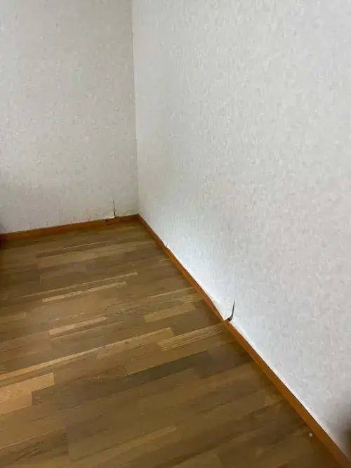 作業後